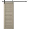 Belldinni Ermi 24 in. x 96 in. Shambor Finished Composite Interior Sliding Barn Door with Hardware Kit