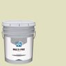 MULTI-PRO 5 gal. Forgive Quickly Eggshell Interior Paint