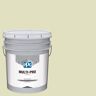 MULTI-PRO 5 gal. Forgive Quickly Flat Interior Paint
