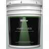 BEHR MARQUEE 5 gal. #N450-3 Meteor Shower Semi-Gloss Enamel Exterior Paint & Primer