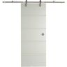 Pinecroft 32 in. x 81 in. Contour Glass Full Lite Frost Sliding Barn Door with Hardware Kit