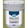 Perma-Crete Color Seal 5 gal. PPG1117-7 Enough Is Enough Satin Interior/Exterior Concrete Stain