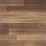 Ivy Hill Tile Cippia Oak Coppertone 28 MIL x 6 in. W x 48 in. L Click Lock Waterproof Luxury Vinyl Plank Flooring (23.45 sq. ft./Case)