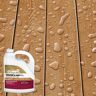 Olympic WaterGuard 1 gal. Acorn Brown Semi-Transparent Exterior Wood Stain and Sealer