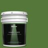 BEHR MARQUEE 5 gal. #P380-7 Luck of the Irish Semi-Gloss Enamel Exterior Paint & Primer