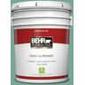 BEHR PREMIUM PLUS 5 gal. #MQ6-38 Patina Flat Low Odor Interior Paint & Primer