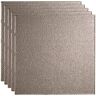 Fasade Border Fill 2 ft. x 2 ft. Galvanized Steel Lay-In Vinyl Ceiling Tile (20 sq. ft.)