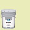 MULTI-PRO 5 gal. Limited Lime PPG1217-2 Eggshell Interior Paint