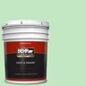 BEHR PREMIUM PLUS 5 gal. #450A-3 Mountain Mint Flat Exterior Paint & Primer