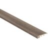 Shaw Jacksonville Alloy 3/8 in. T x 1-3/4 in. W x 94 in. L Threshold Molding