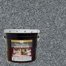 DAICH SpreadRock Granite Stone Coating 3-gal Ice Grey Interior/Exterior