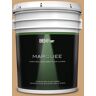 BEHR MARQUEE 5 gal. #PPU4-16 Kenya Semi-Gloss Enamel Exterior Paint & Primer