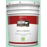 BEHR PREMIUM PLUS 5 gal. #480C-3 Aqua Bay Flat Low Odor Interior Paint & Primer