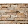 ClipStone Tan Ledgestone Corners 4"x3"x6" to 10" Siding - 4 LF