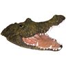 Alligator Natural Enemy Scarecrow Open Mouth