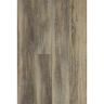 Shaw Jacksonville Alloy 12 MIL x 7 in. W x 48 in. L  Glue Down Vinyl Plank Flooring (18.91 sq. ft./ case )