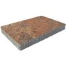 Pavestone Capriana 14 in. x 14 in. x 2 in. Abbronza Concrete Step Stone (72-Piece/ 98 sq. ft./ Pallet)