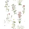 RoomMates Botanical Print Peel and Stick Wallpaper (Covers 28.29 sq. ft.)