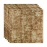 Fasade Square 2 ft. x 2 ft. Bermuda Bronze Lay-In Vinyl Ceiling Tile (20 sq. ft.)