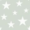 Chesapeake Green Amira Stars Matte Paper Non-Pasted Wallpaper Roll