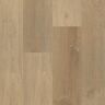 ASPEN FLOORING Carter 30 MIL x 9 in. W x 60 in. L Click Lock Waterproof Rigid Core Luxury Vinyl Plank Flooring (22.12 sq. ft./case)