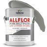 California Paints 1 Gallon Light Gray ALLFLOR Porch and Floor Enamel Paint