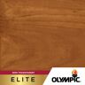 Olympic Elite 5 gal. ST-2024 Sierra Semi-Transparent Exterior Stain and Sealant in One Low VOC
