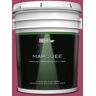 BEHR MARQUEE 5 gal. Home Decorators Collection #HDC-SM14-1 Fuschia Flair Semi-Gloss Enamel Exterior Paint & Primer