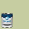 SPEEDHIDE 1 gal. In The Dale PPG11-10 Flat Exterior Paint