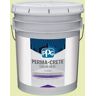 Perma-Crete Color Seal 5 gal. PPG1220-3 Lots of Bubbles Satin Interior/Exterior Concrete Stain