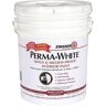 Zinsser Perma-White 5 gal. Mold & Mildew-Proof Semi-Gloss Interior Paint