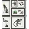 HOLDEN Mad Dogs Multi Non-Pasted Wallpaper (Covers 56 sq. ft.)