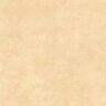 Brewster Halstead Apricot Rag Texture Peelable Wallpaper Covers 56.4 sq. ft.