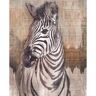 Komar Zebra Wall Mural