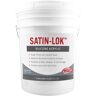 RAIN GUARD Satin-Lok 5 gal. Surface Masonry and Wood Sealer