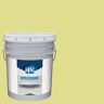 SPEEDHIDE 5 gal. PPG1218-3 Lively Laugh Flat Exterior Paint