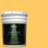 BEHR MARQUEE 5 gal. #P260-6 Smiley Face Semi-Gloss Enamel Exterior Paint & Primer