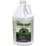 NISUS CORPORATION Web Out 1 Gal. Pesticide and Cob Web Eliminator