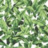 RoomMates Tropical Leaf Green And White Botanical Vinyl Peel & Stick Wallpaper Roll (Covers 28.18 Sq. Ft.)