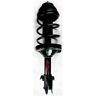 Suspension Strut and Coil Spring Assembly 2004-2005 Subaru Forester 2.5L