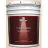 BEHR MARQUEE 5 gal. Home Decorators Collection #HDC-MD-17 Minimum Beige Matte Interior Paint & Primer