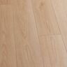 Malibu Wide Plank French Oak Astoria 20 MIL 9.1 in. x 60 in. Click Lock Waterproof Luxury Vinyl Plank Flooring (30.5 sq. ft./case) CXS