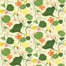 Elana Gabrielle Nasturtiums Floral Nectar Vinyl Peel and Stick Wallpaper Roll ( Covers 30.75 sq. ft. )