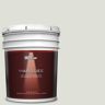BEHR MARQUEE 5 gal. #PPU25-11 Salt Cellar Matte Interior Paint & Primer