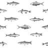 ESTA Home Fiyero Off-White Fish Paper Strippable Wallpaper (Covers 56.4 sq. ft.)