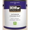 BEHR PREMIUM PLUS 1 gal. #250E-2 Pebbled Courtyard Ceiling Flat Interior Paint