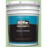 BEHR PREMIUM PLUS 5 gal. #440D-4 Desert Cactus Satin Enamel Exterior Paint & Primer