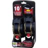 Erickson 10 ft. Retractable Ratcheting Tie-Downs (2-Pack)