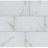 Carrara Matte Rectified 12 in. x 24 in. Porcelain Floor and Wall Tile (13.3 sq. ft. /case)