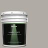 BEHR MARQUEE 5 gal. Home Decorators Collection #HDC-NT-09G Stingray Gray Semi-Gloss Enamel Exterior Paint & Primer